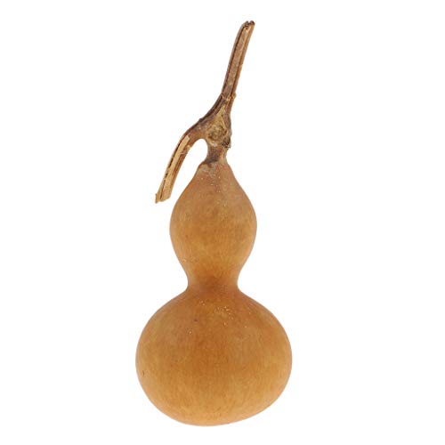 B Baosity Mini Calabaza Seca Natural Preparado Profesionalmente para Uso por Floristas y Fabricantes de Artesanía