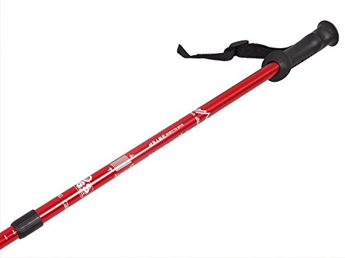 Bastones de Marcha nórdica, Longitud 65-135cm, en Cuatro Colores (Rojo)