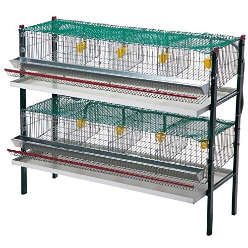Batería codornices 2 pisos