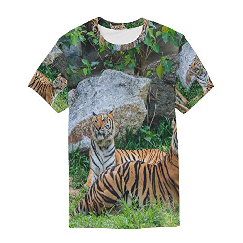 Camiseta para Hombre Niños Selva Animal Tigre Descanso Manga Corta Personalizada