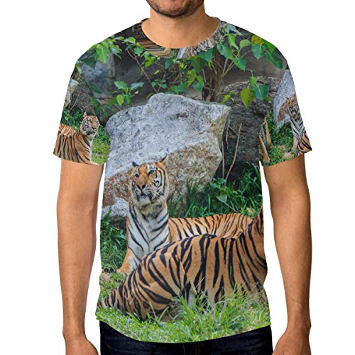 Camiseta para Hombre Niños Selva Animal Tigre Descanso Manga Corta Personalizada