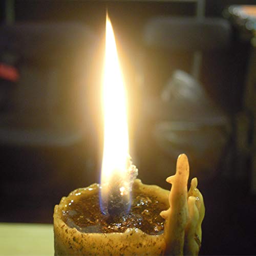 Candle Art Vela Dinero Inesperado. Color Amarillo, Cera de Abeja con Plantas, ritualizada