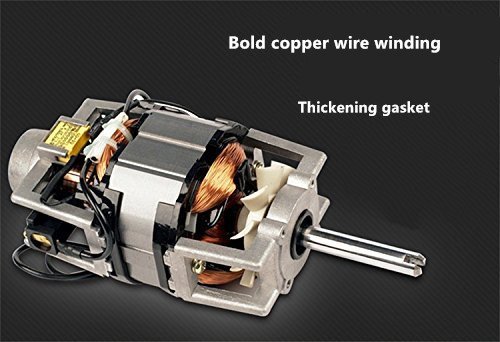 CGOLDENWALL 175 kg/h Picadora de carne automática y embutidores de embutidos de acero inoxidable 304 (110 V)