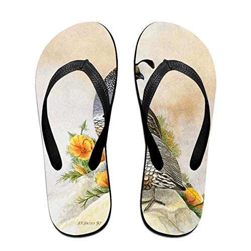 Codornices y Amapolas de California Unisex Adultos Chanclas Informales Sandalia Zapatillas de Fiesta en la Piscina Pisos de baño Zapatos de Diapositivas con Punta Abierta M