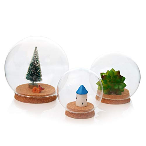 Cubierta con Forma De Bola De Cristal Botella De Terrario Suculenta Pantalla De Terrario Horizontal Campana De Vidrio con Corcho De Madera - 15cm