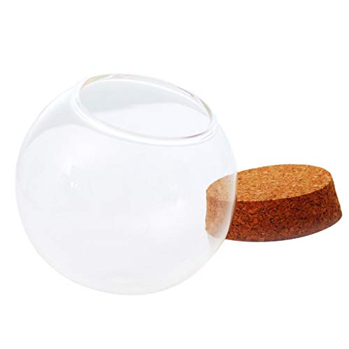 Cubierta con Forma De Bola De Cristal Botella De Terrario Suculenta Pantalla De Terrario Horizontal Campana De Vidrio con Corcho De Madera - 15cm