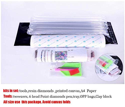 Diy Diamante Pintura 5D Arte Bordado Kit De Punto De Cruz Decoración Del Hogar Mosaico Floristería Tienda De Regalos Rhinestone 40X50Cm