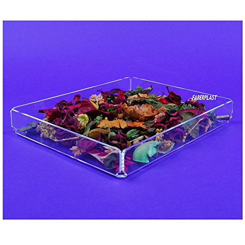 Faberplast Bandeja Odor, Metacrilato, 24x19x3.5 cm