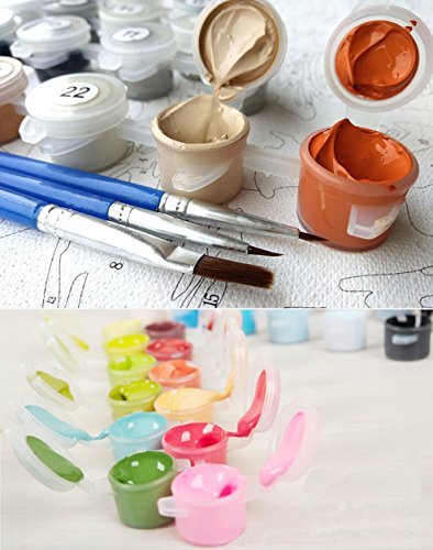 Fuumuui Lienzo de Bricolaje Regalo de Pintura al óleo para Adultos niños Pintura por número Kits Decoraciones para el hogar -Flores y pájaros 16 * 20 Pulgadas