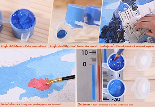 Fuumuui Lienzo de Bricolaje Regalo de Pintura al óleo para Adultos niños Pintura por número Kits Decoraciones para el hogar -Flores y pájaros 16 * 20 Pulgadas