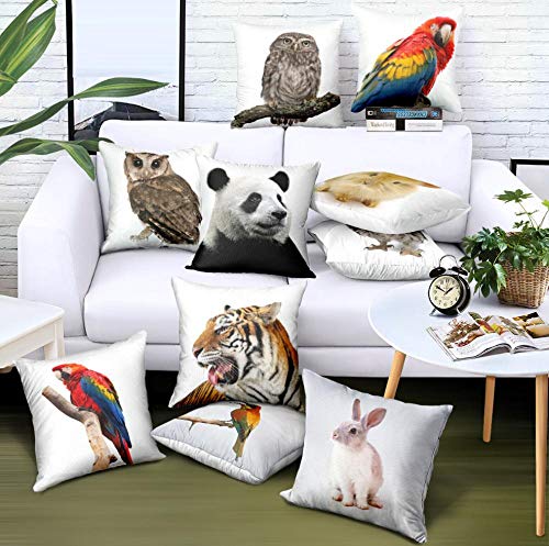 HNLHLY Dos Piezas de Muebles suministran Fundas de cojín de Funda de Almohada para sofá de Coche 45 * 45 cm-5