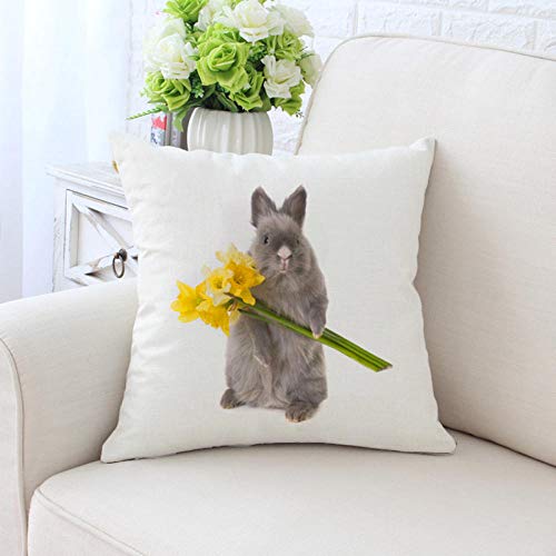 HNLHLY Dos Piezas de Muebles suministran Fundas de cojín de Funda de Almohada para sofá de Coche 45 * 45 cm-5
