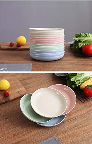 JILIGUALA - Platos de fruta de paja de trigo degradable, livianos y irrompibles, aptos para lavavajillas y microondas, sin BPA y adultos y niños pequeños, 22,5 cm, 4 unidades