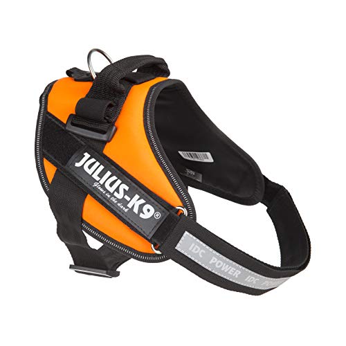 Julius-K9 16IDC - Power Harness