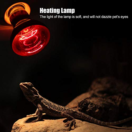 Luz de Calentamiento de Reptil UVA Luz de Calor Infrarrojo Calentamiento de Luz Bombilla Roja para Lagarto Tortuga Araña Serpiente Camaleón 220-230V(50W)