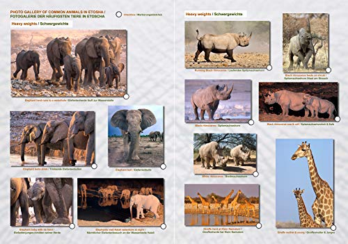 MAPA detallado y GALERIA DE FOTOS DE ETOSHA, cuaderno practico A4, todos los caminos de parques y puntos de agua, más de 100 fotografías a color de los animales salvajes para la fácil identificación