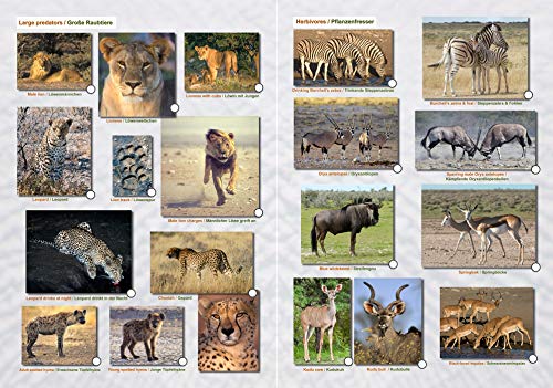 MAPA detallado y GALERIA DE FOTOS DE ETOSHA, cuaderno practico A4, todos los caminos de parques y puntos de agua, más de 100 fotografías a color de los animales salvajes para la fácil identificación