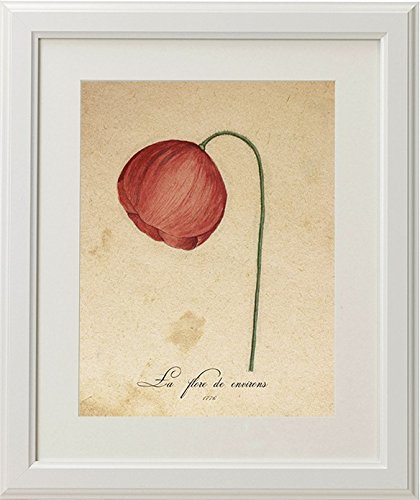 Pack de láminas Red One. Tres láminas tamaño A4. Posters con imágenes de botánica. Decoración de hogar. Láminas para enmarcar. Papel 250 Gramos