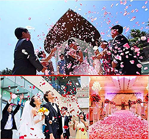 ToBe-U 3000 pétalos de rosa de seda artificiales para boda, confeti de flores para novia, ducha, hotel, fiesta, día de San Valentín, decoración de flores, plástico, Estilo 6., Free