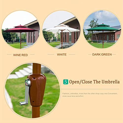 TX Parasol Grande de Jardín Sombrilla para Exterior Desmontable con Manivela de Apertura Fácil, Doble Tejido de Poliéster y Mástil de Metal Φ270x245cm