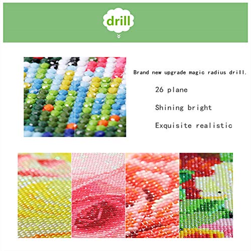 UM UPMALL - Kit de pintura de diamante 5D para adultos y principiantes para decoración del hogar, dos búhos 30 x 40 cm