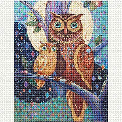 UM UPMALL - Kit de pintura de diamante 5D para adultos y principiantes para decoración del hogar, dos búhos 30 x 40 cm