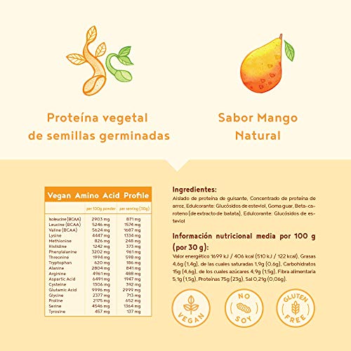 Vegan protein | MANGO | Proteína vegana de arroz, guisantes, semillas de lino, amaranto, semillas de girasol y semillas de calabaza germinadas | 600 g de polvo con sabor a Mango