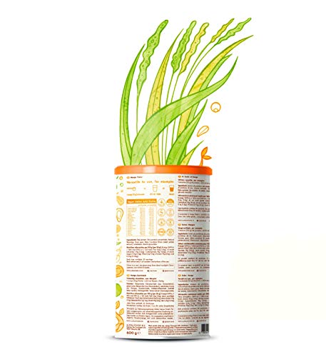Vegan protein | MANGO | Proteína vegana de arroz, guisantes, semillas de lino, amaranto, semillas de girasol y semillas de calabaza germinadas | 600 g de polvo con sabor a Mango