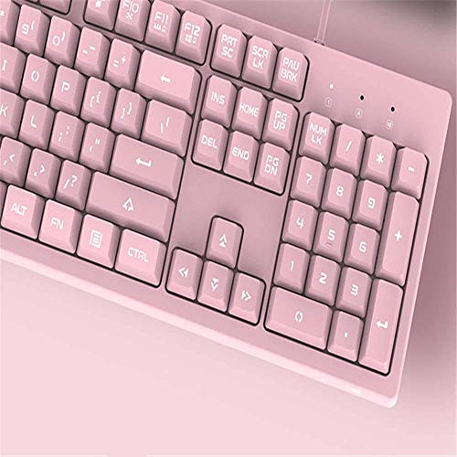 XIUYU Teclado mecánico, té-Axis Feel Teclado, Teclado de Oficina Femenina, Teclado LuminoGaming